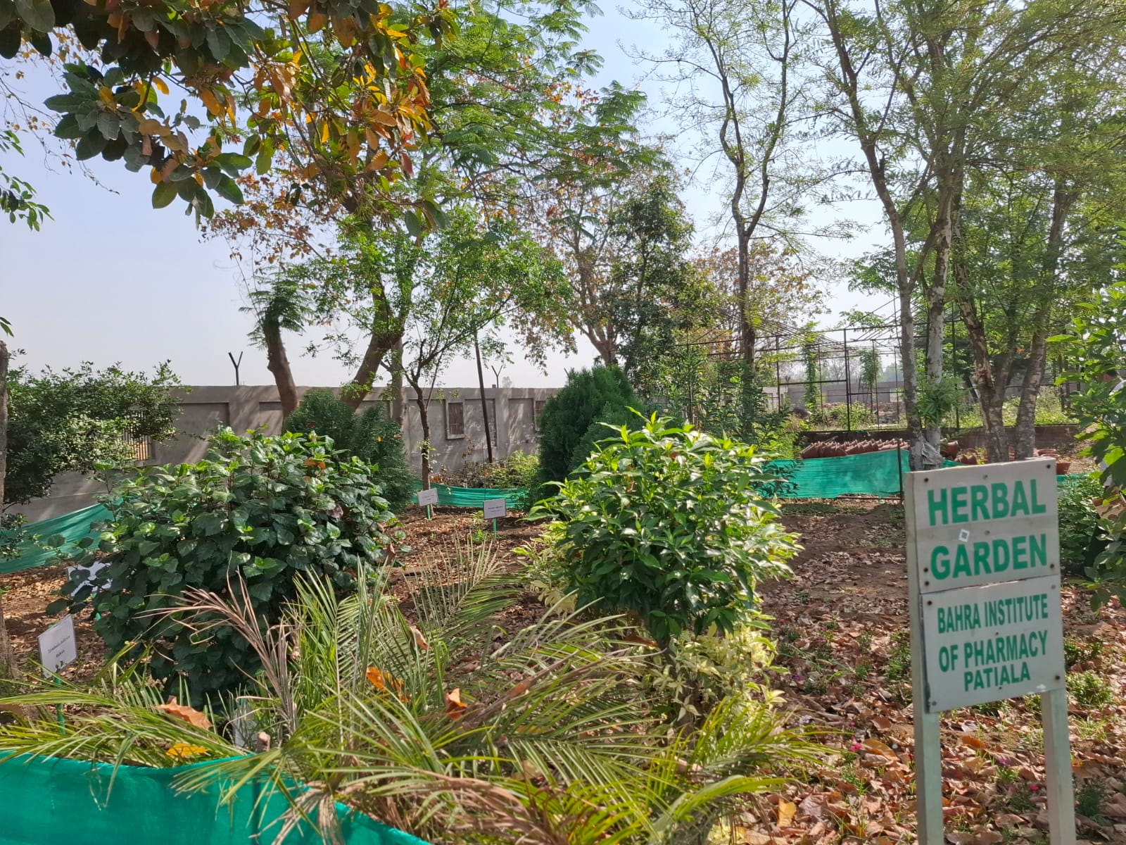 Ayurvedic Archive